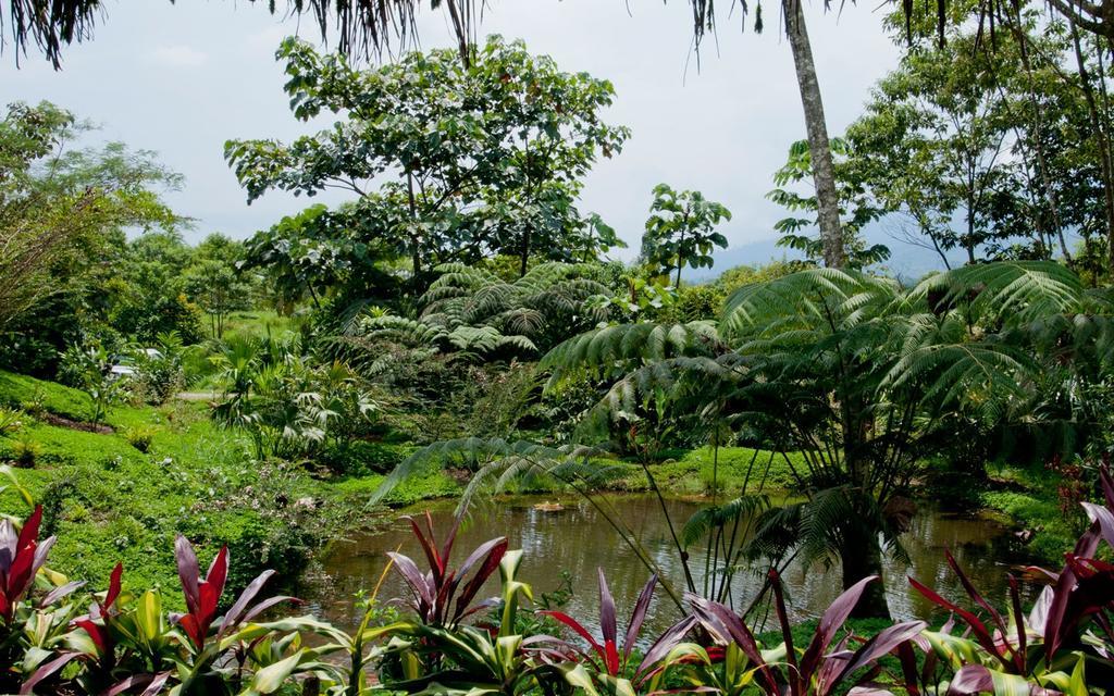 Huasquila Amazon Lodge Cotundo Zewnętrze zdjęcie