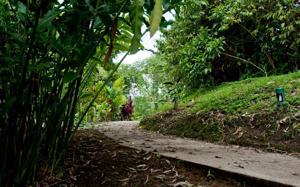 Huasquila Amazon Lodge Cotundo Zewnętrze zdjęcie