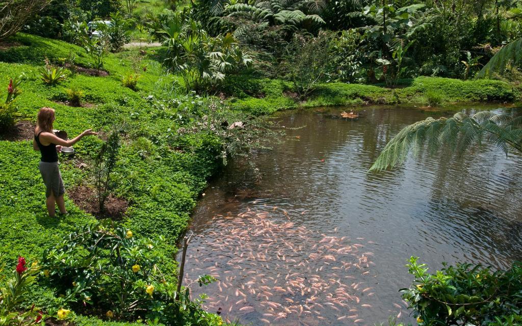 Huasquila Amazon Lodge Cotundo Zewnętrze zdjęcie