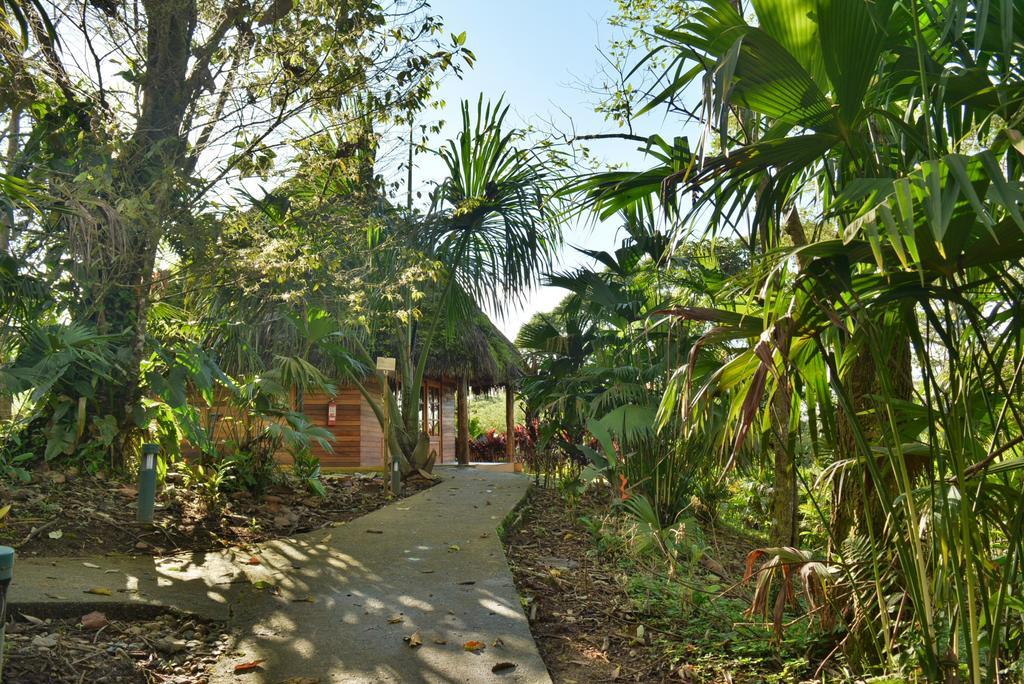 Huasquila Amazon Lodge Cotundo Zewnętrze zdjęcie