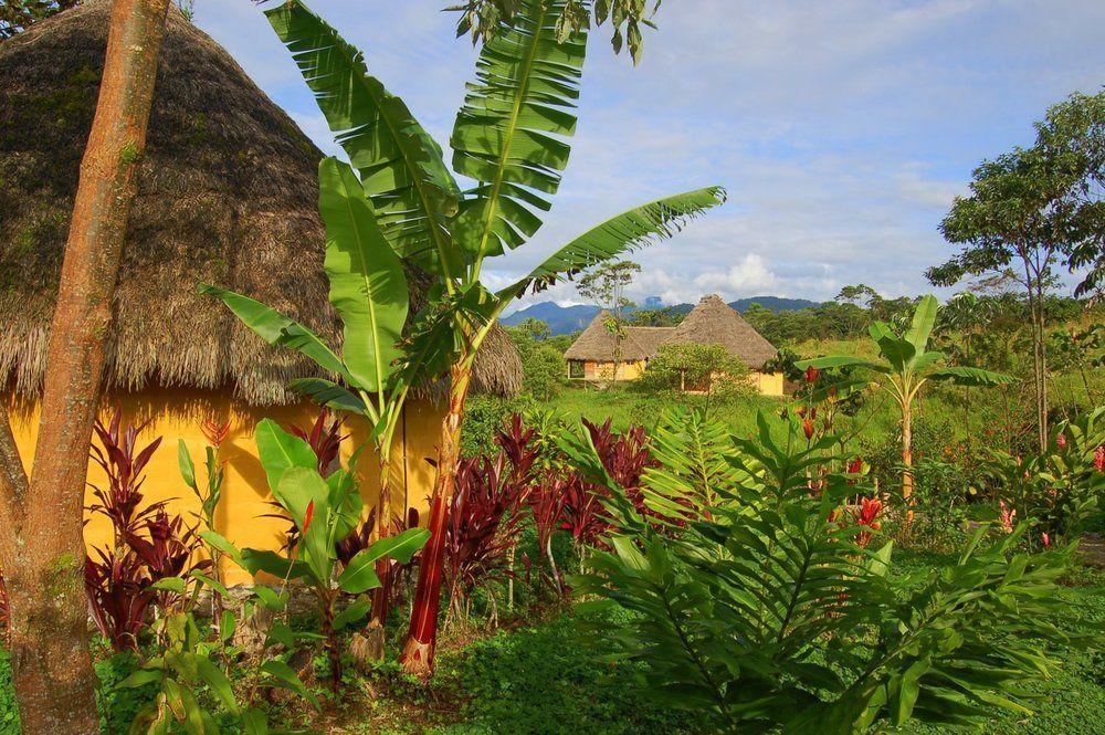 Huasquila Amazon Lodge Cotundo Zewnętrze zdjęcie