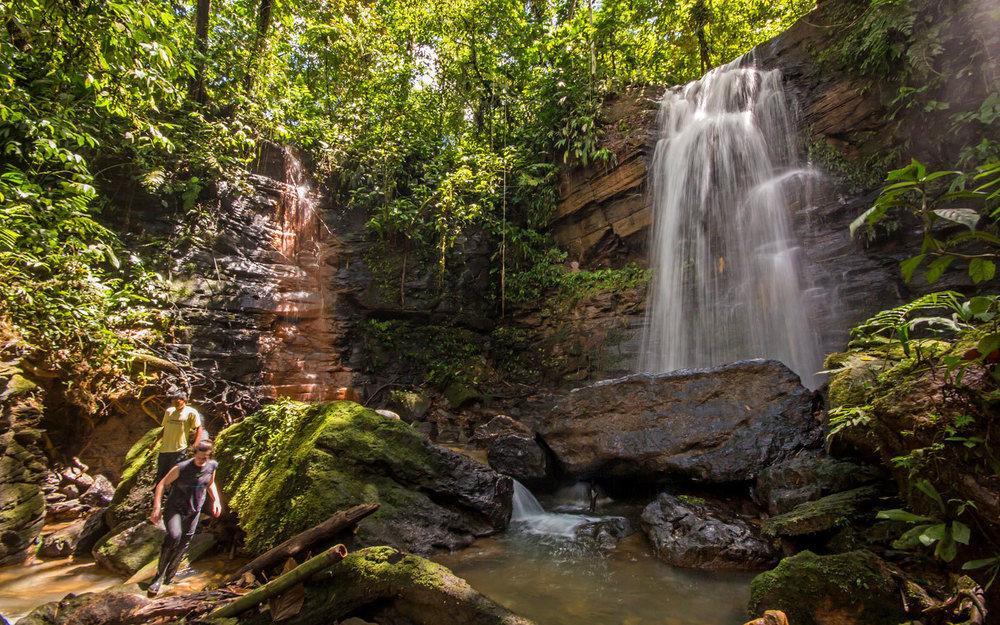 Huasquila Amazon Lodge Cotundo Zewnętrze zdjęcie
