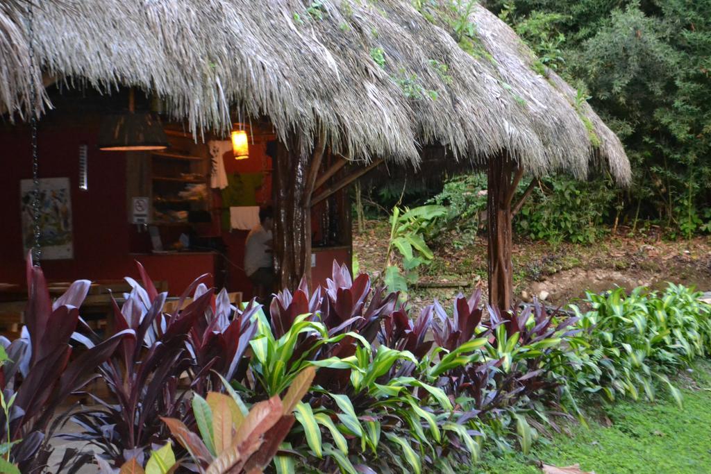 Huasquila Amazon Lodge Cotundo Zewnętrze zdjęcie