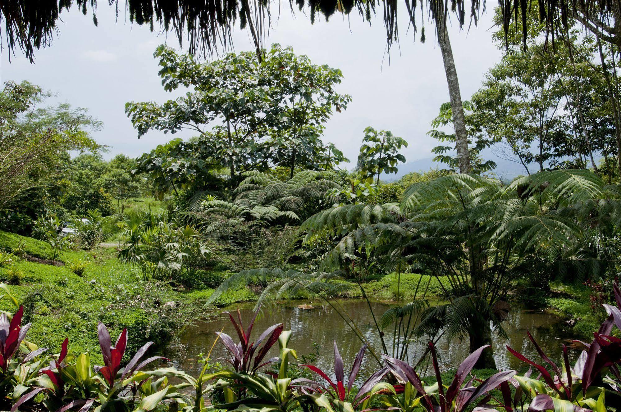 Huasquila Amazon Lodge Cotundo Zewnętrze zdjęcie