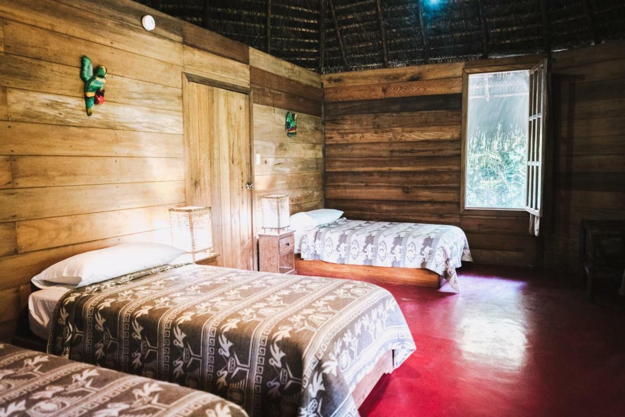 Huasquila Amazon Lodge Cotundo Zewnętrze zdjęcie
