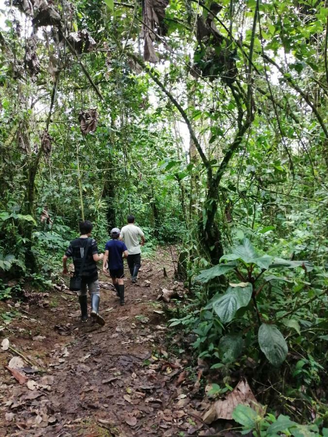 Huasquila Amazon Lodge Cotundo Zewnętrze zdjęcie