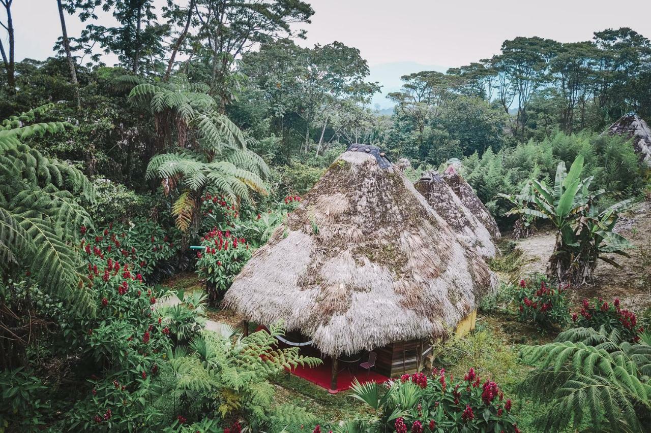 Huasquila Amazon Lodge Cotundo Zewnętrze zdjęcie